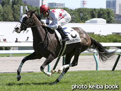 カラープリント(アルミ枠なし)2016年8月27日札幌6R 3歳未勝利(ミッキーディナシー)