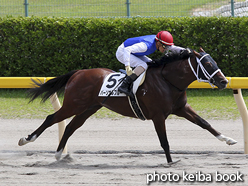 カラーパネル2016年8月28日新潟4R 3歳未勝利(パーソナルブルー)