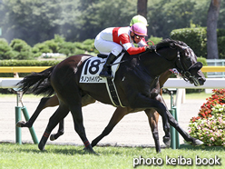 カラープリント(アルミ枠なし)2016年8月28日新潟5R 2歳新馬(ダノンハイパワー)