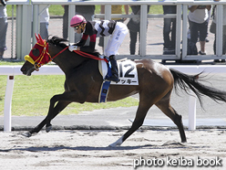 カラープリント(アルミ枠付き)2016年8月28日札幌2R 3歳未勝利(アッキー)