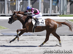 カラープリント(アルミ枠付き)2016年8月28日札幌5R 2歳新馬(サリーバットマン)