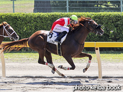 カラーパネル2016年9月3日新潟1R 2歳未勝利(ゴールドスカル)