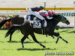 カラープリント(アルミ枠なし)2016年9月4日新潟4R 障害未勝利(サダムコーテイ)