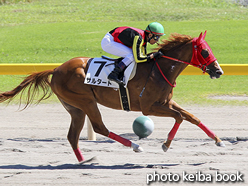 カラーパネル2016年9月4日新潟6R 2歳新馬(サルタート)