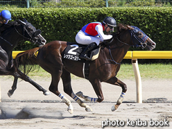 カラーパネル2016年9月4日新潟9R 両津湾特別(レッツゴースター)