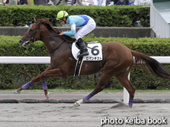 カラープリント(アルミ枠なし)2016年9月4日札幌6R 3歳上500万下(ロマンチスト)