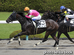 カラープリント(アルミ枠付き)2016年9月10日阪神4R 3歳未勝利(オーパ)