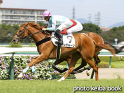 カラーパネル2016年9月10日阪神5R 2歳新馬(シグルーン)