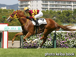 カラープリント(アルミ枠なし)2016年9月10日阪神6R 2歳新馬(ジョウショーホマレ)