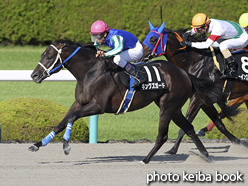 カラープリント(アルミ枠なし)2016年9月10日阪神11R エニフステークス(キングズガード)