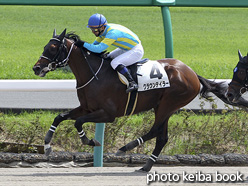 カラープリント(アルミ枠付き)2016年9月10日中山4R 障害未勝利(クラウンテイラー)