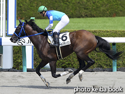 カラーパネル2016年9月11日阪神4R 障害未勝利(オールブラックス)