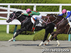 カラープリント(アルミ枠付き)2016年9月11日阪神8R 3歳上500万下(ジョースターライト)