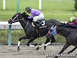 カラープリント(アルミ枠なし)2016年9月11日中山10R ながつきステークス(シャトーウインド)