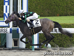 カラープリント(アルミ枠付き)2016年9月17日阪神1R 2歳未勝利(モンロー)