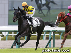 カラープリント(アルミ枠付き)2016年9月17日阪神2R 2歳未勝利(エリンソード)