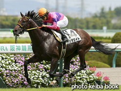 カラープリント(アルミ枠付き)2016年9月17日阪神4R 3歳未勝利(ナリタエイト)