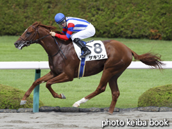 カラーパネル2016年9月17日阪神6R 2歳新馬(ゲキリン)