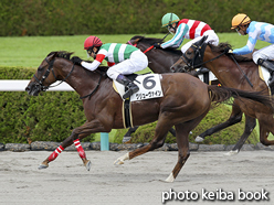 カラープリント(アルミ枠なし)2016年9月17日阪神7R 3歳上500万下(グリューヴァイン)