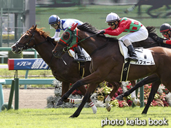 カラープリント(アルミ枠なし)2016年9月17日中山2R 2歳未勝利(パフォーム)