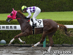 カラープリント(アルミ枠付き)2016年9月18日阪神1R 2歳未勝利(メイプルブラザー)