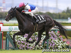 カラーパネル2016年9月18日阪神9R 能勢特別(プリメラアスール)