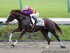 カラーパネル2016年9月18日中山7R 3歳上500万下(トウショウカウント)