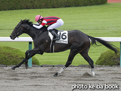 カラーパネル2016年9月24日阪神7R 3歳上500万下(ウインユニファイド)