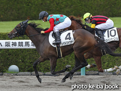 カラーパネル2016年9月24日阪神8R 3歳上500万下(シゲルゴホウサイ)