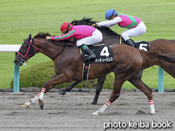 カラーパネル2016年9月24日阪神11R 大阪スポーツ杯(パーティードレス)