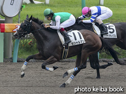 カラープリント(アルミ枠なし)2016年9月24日中山4R 3歳未勝利(セシャルマン)