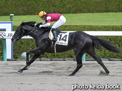 カラープリント(アルミ枠付き)2016年9月25日阪神3R 3歳未勝利(ショートストーリー)