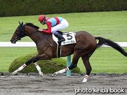 カラープリント(アルミ枠なし)2016年10月1日阪神8R 3歳上500万下(オーバーカム)