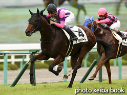 カラーパネル2016年10月1日阪神12R 3歳上500万下(サフランハート)