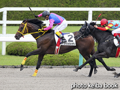 カラーパネル2016年10月2日阪神4R 障害未勝利(メイショウメイザン)