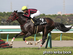 カラープリント(アルミ枠付き)2016年10月2日阪神10R 道頓堀ステークス(イッテツ)