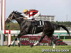 カラープリント(アルミ枠付き)2016年10月2日阪神11R ポートアイランドステークス(ウインプリメーラ)