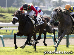 カラープリント(アルミ枠なし)2016年10月2日中山2R 2歳未勝利(コスモスピード)