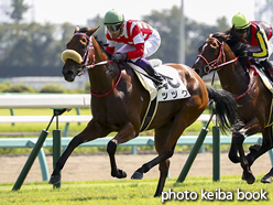 カラープリント(アルミ枠なし)2016年10月2日中山5R 2歳新馬(ツヅク)