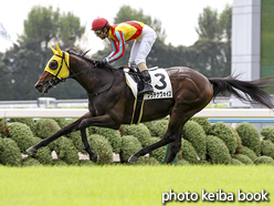 カラープリント(アルミ枠なし)2016年10月8日京都3R 2歳未勝利(プラチナヴォイス)