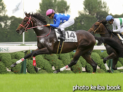 カラーパネル2016年10月8日京都5R 2歳新馬(タイセイスターリー)