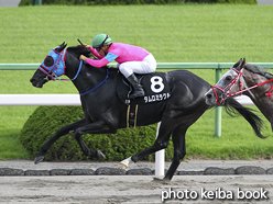 カラーパネル2016年10月8日京都11R 平城京ステークス(タムロミラクル)