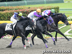 カラーパネル2016年10月8日東京6R 3歳上500万下(リキサンダイオー)