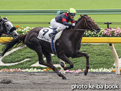 カラーパネル2016年10月8日東京7R 3歳上500万下(シークザフューチャ)