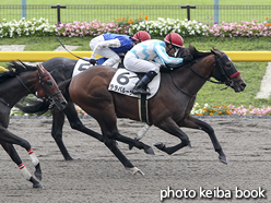 カラーパネル2016年10月8日東京8R 3歳上500万下(ララパルーザ)