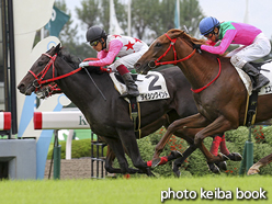 カラーパネル2016年10月9日京都3R 2歳未勝利(ダイシンクイント)