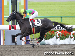 カラープリント(アルミ枠なし)2016年10月9日京都4R 障害オープン(タガノグーフォ)