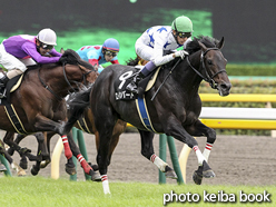 カラープリント(アルミ枠付き)2016年10月9日東京9R 六社特別(ロイカバード)