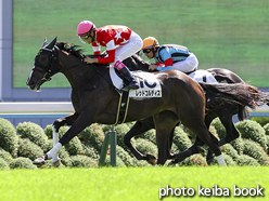 カラーパネル2016年10月10日京都5R 2歳新馬(レッドコルディス)