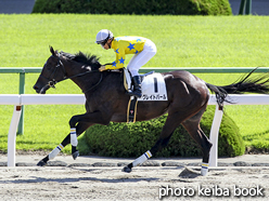 カラーパネル2016年10月10日京都6R 3歳上500万下(グレイトパール)